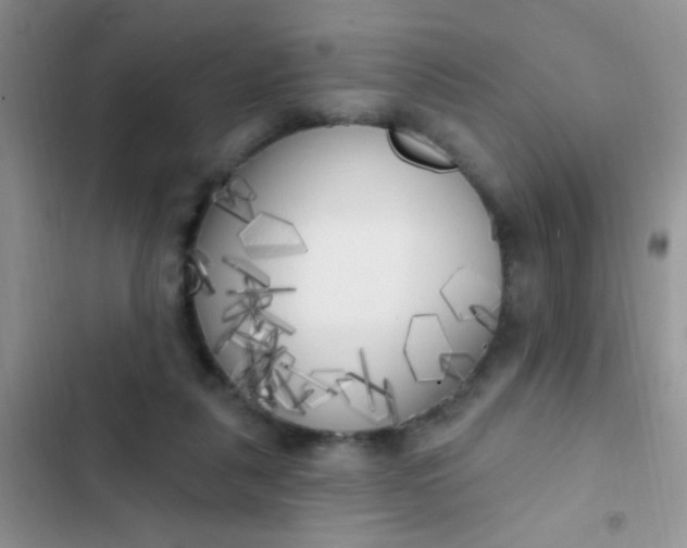 X0000102530259200808221912