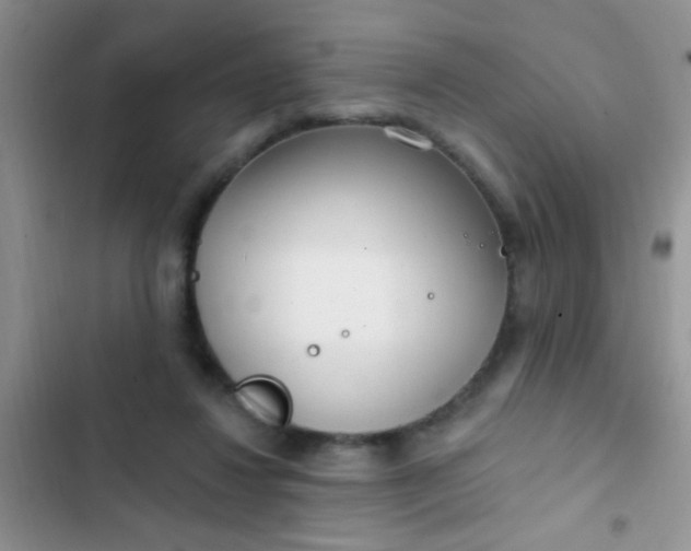 X0000102530260200808221912