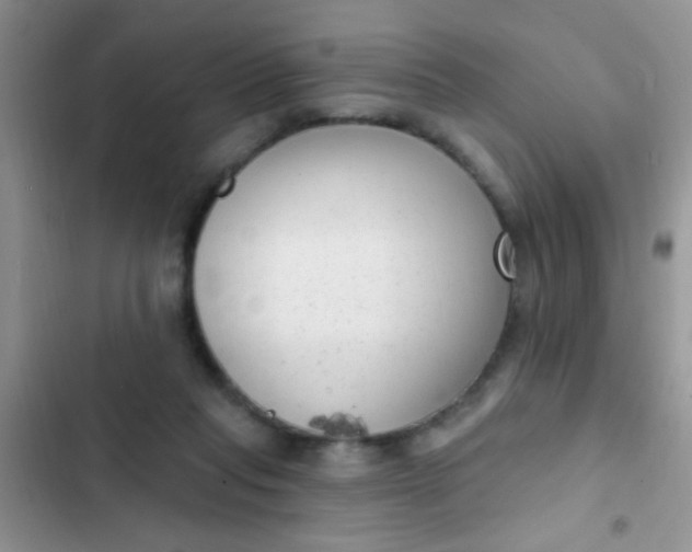 X0000102530261200808221912