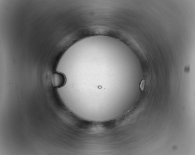 X0000102530262200808221912