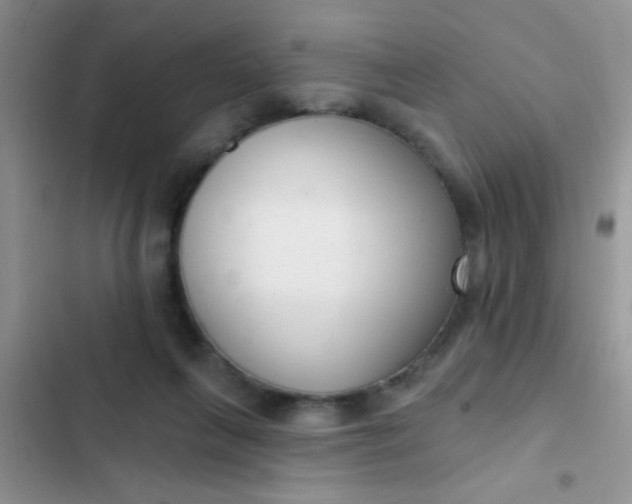 X0000102530263200808221912