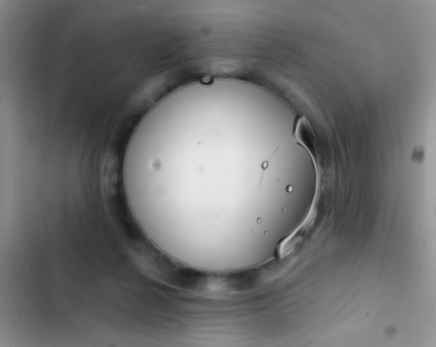 X0000102530264200808221912