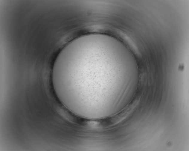 X0000102530265200808221912