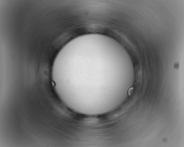 X0000102530266200808221912