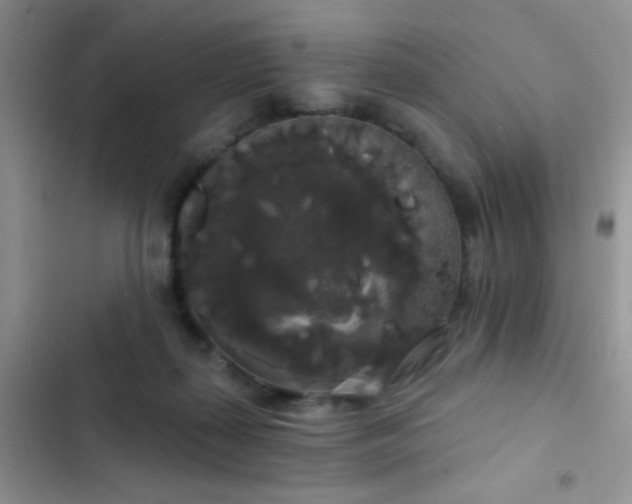 X0000102530267200808221912