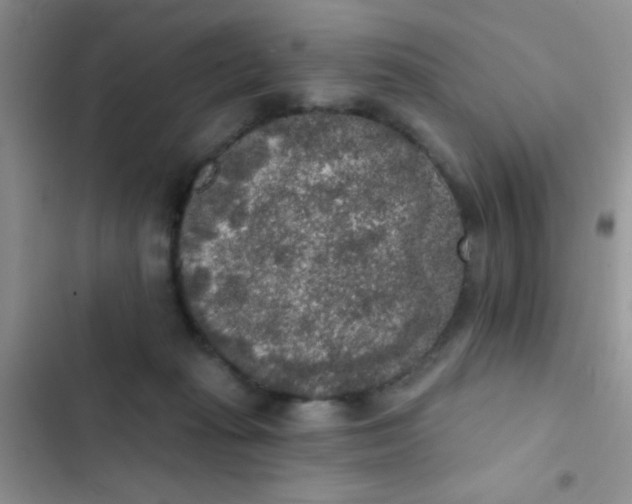 X0000102530269200808221912