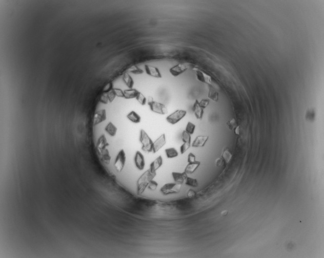 X0000102530270200808221912