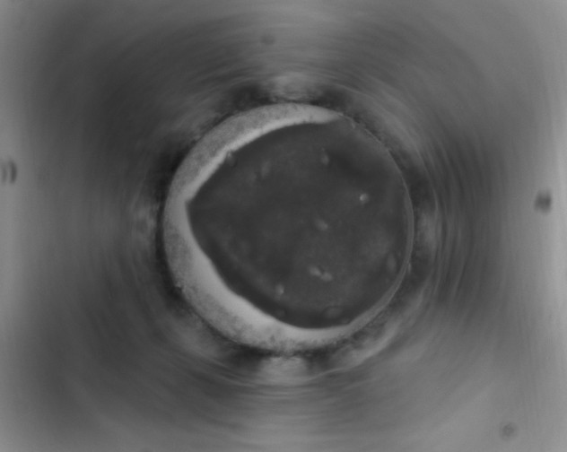 X0000102530271200808221912