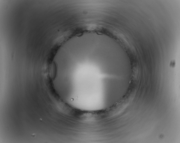 X0000102530272200808221912