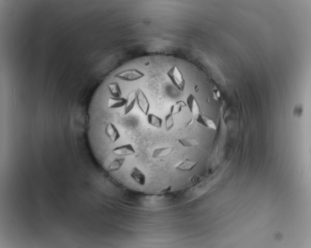 X0000102530273200808221912