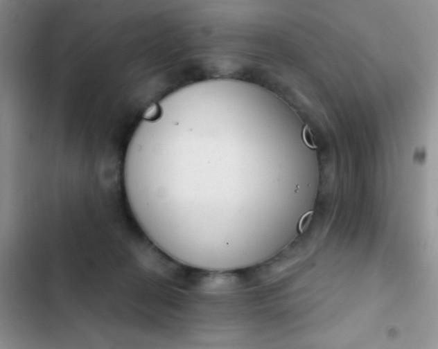 X0000102530274200808221912