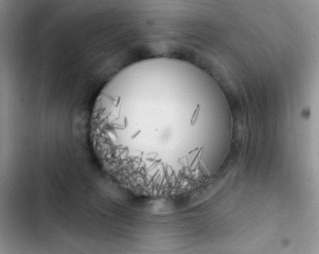 X0000102530275200808221912