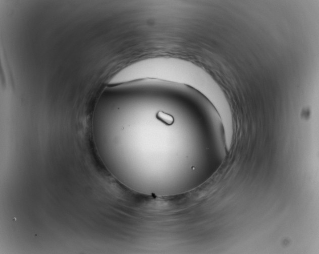 X0000102530276200808221912