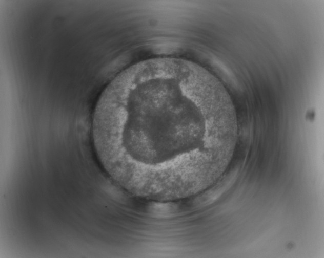 X0000102530277200808221912