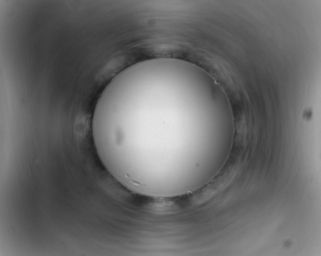 X0000102530278200808221912