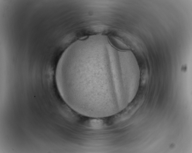 X0000102530279200808221912