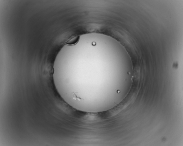 X0000102530280200808221912