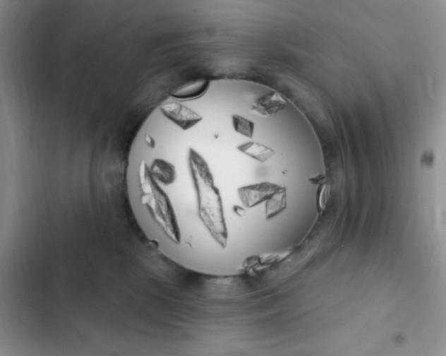 X0000102530281200808221912