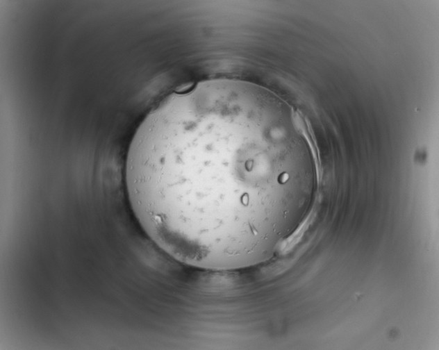 X0000102530282200808221912