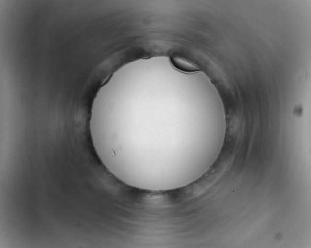 X0000102530283200808221912