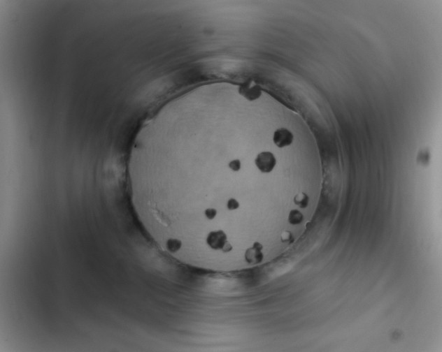 X0000102530284200808221912