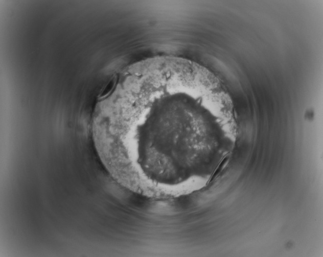 X0000102530285200808221912