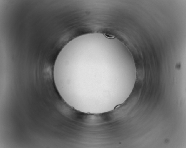 X0000102530286200808221912