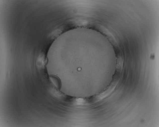 X0000102530287200808221912