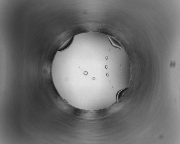 X0000102530288200808221912