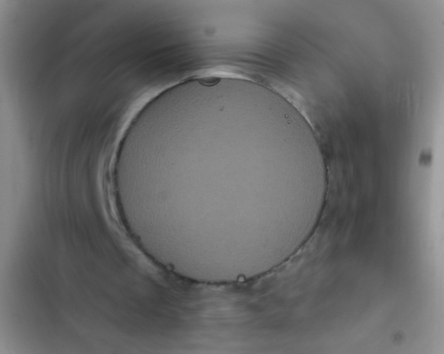 X0000102530289200808221911