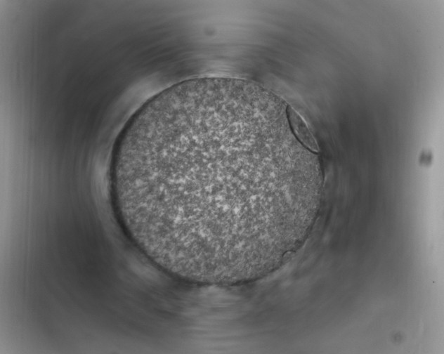 X0000102530290200808221911