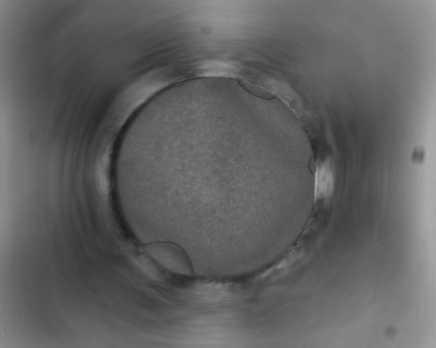 X0000102530291200808221911