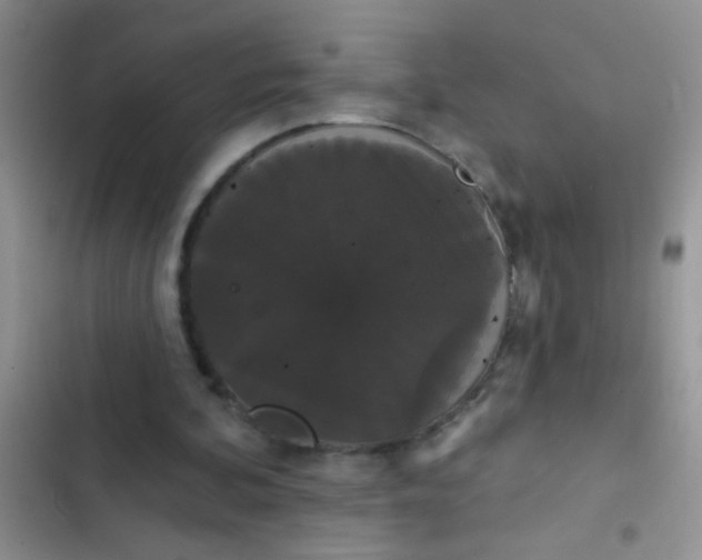 X0000102530292200808221911