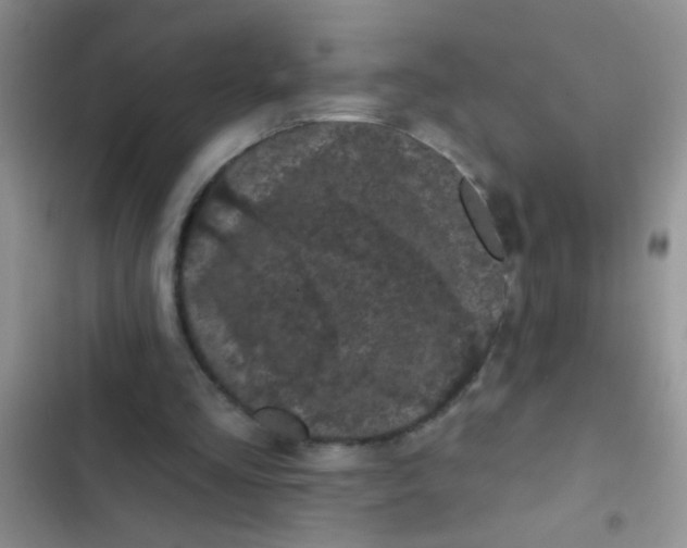 X0000102530293200808221911