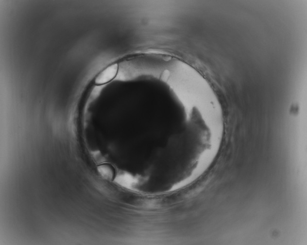 X0000102530295200808221911