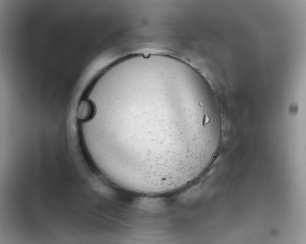 X0000102530296200808221911