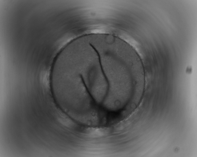 X0000102530297200808221911