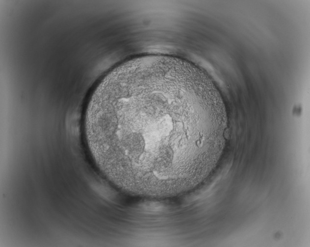 X0000102530299200808221911