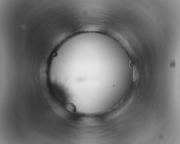 X0000102530300200808221911