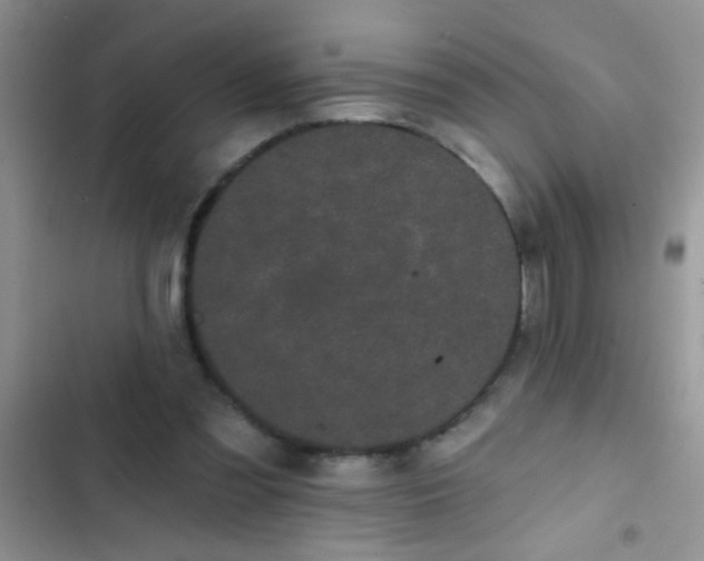 X0000102530301200808221911