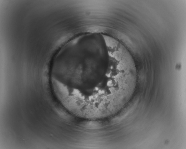 X0000102530303200808221911