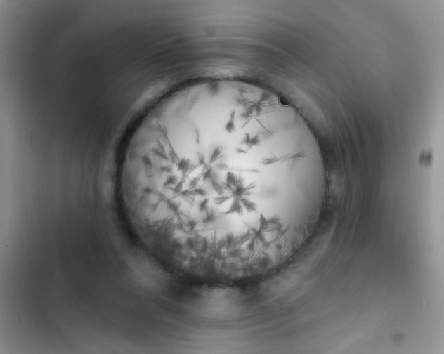 X0000102530304200808221911