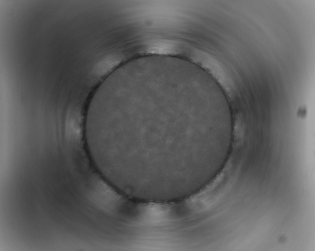 X0000102530305200808221911