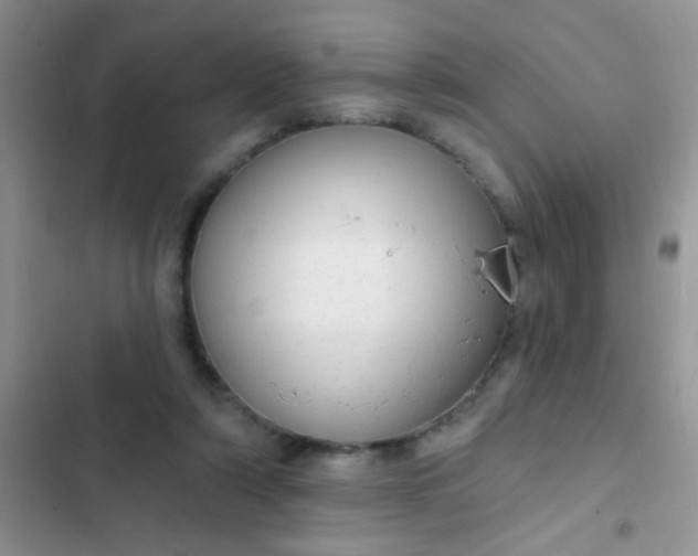 X0000102530306200808221911