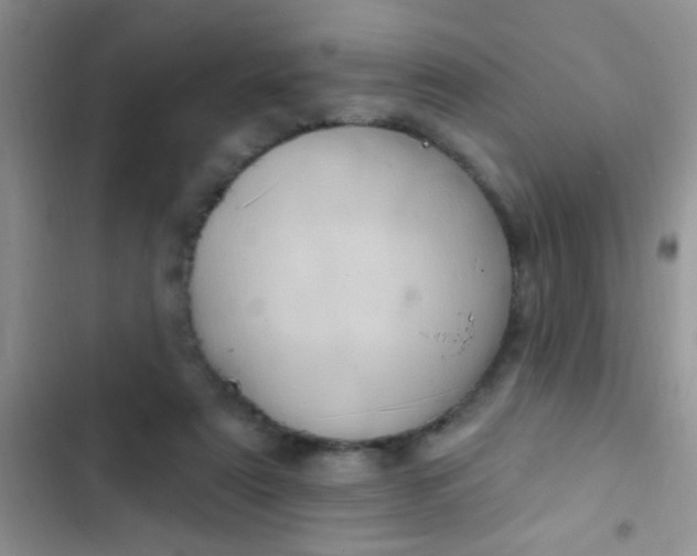 X0000102530307200808221911