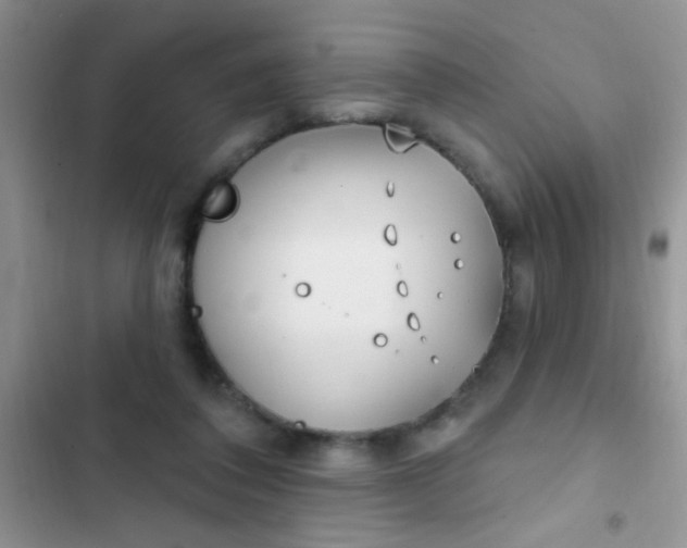 X0000102530308200808221911