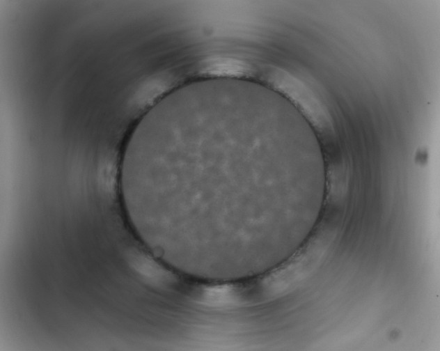 X0000102530309200808221911