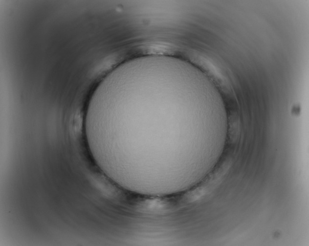 X0000102530310200808221911