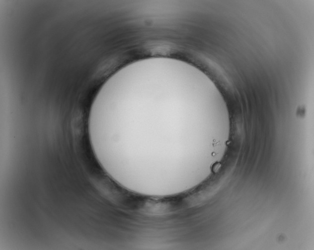 X0000102530311200808221911