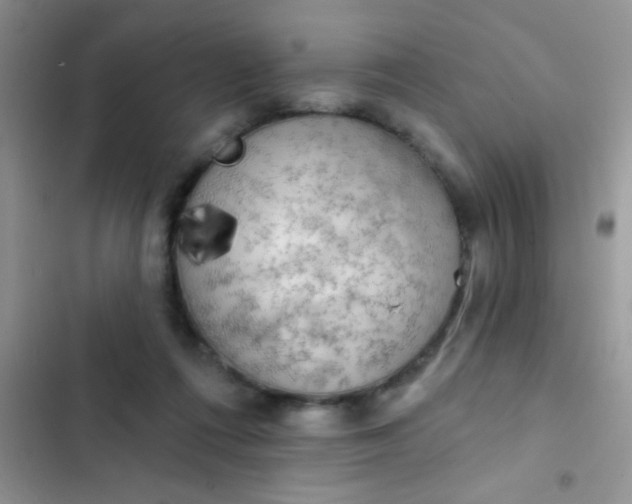 X0000102530312200808221911